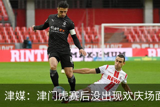 津媒：津门虎赛后没出现欢庆场面，于根伟简短陈述了保级形势