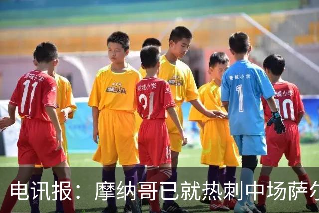 电讯报：摩纳哥已就热刺中场萨尔的转会可能性进行询价